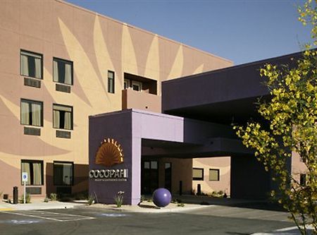 Cocopah Resort And Conference Center Somerton Extérieur photo